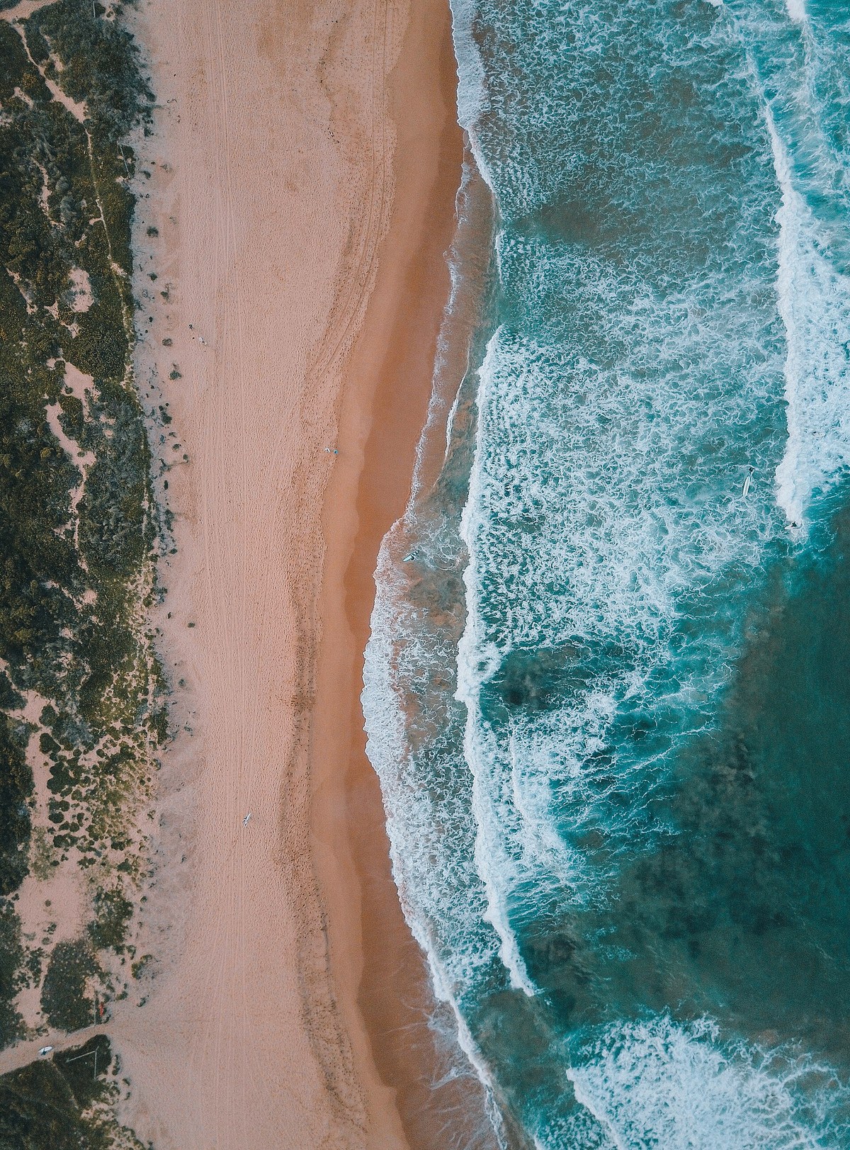 Aerial view of the shoreline and surf at Mona Vale Beach