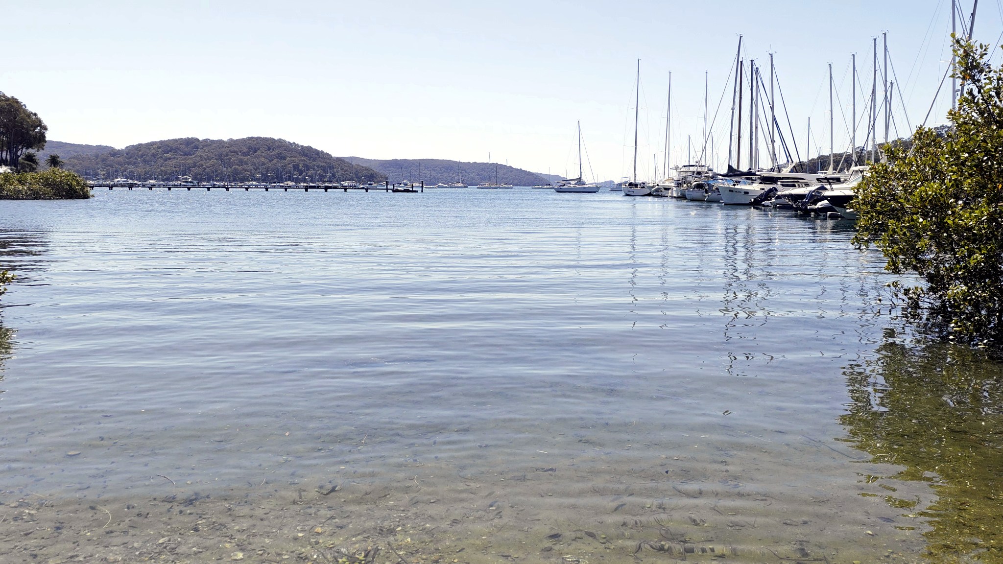 Yachts and calm water on Pittwater at Bayview